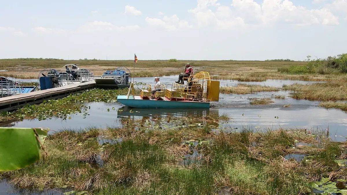 Real photo of airboats at a dock in the Everglades, among grass and water